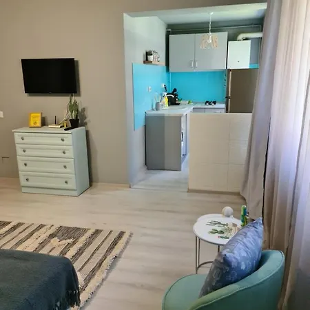 Zorilor Cactus 아파트