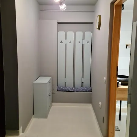 Zorilor Cactus 아파트