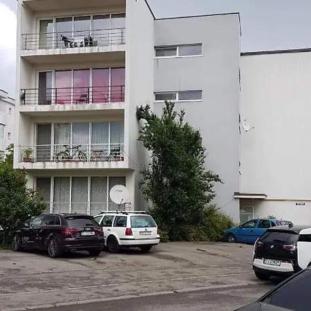 Zorilor Cactus Lägenhet *