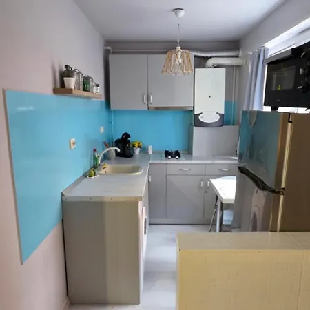 Zorilor Cactus Apartment *