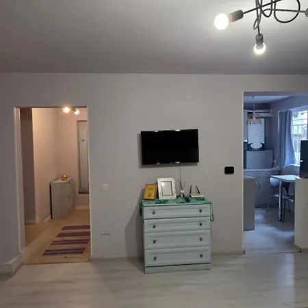 Zorilor Cactus * Kaloşvar