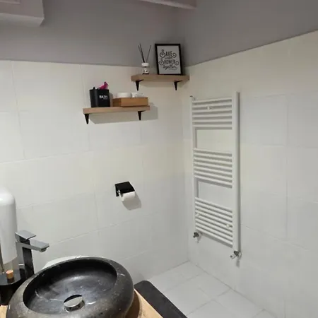Apartment Zorilor Cactus Cluj-Napoca