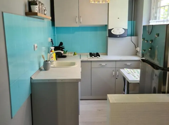 Zorilor Cactus * Cluj-Napoca