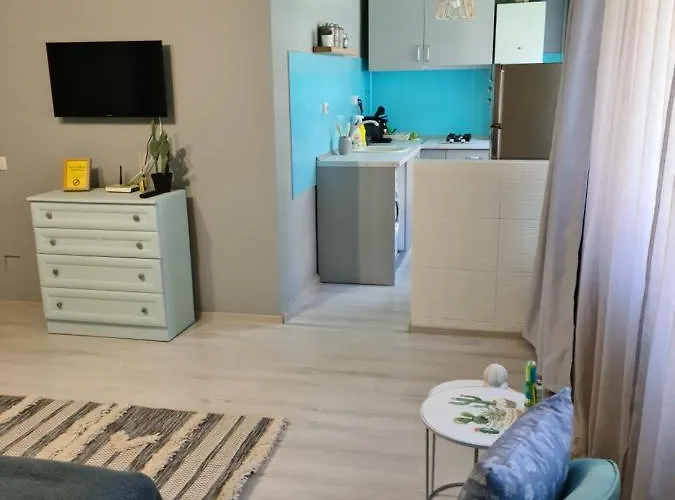 Zorilor Cactus Apartment