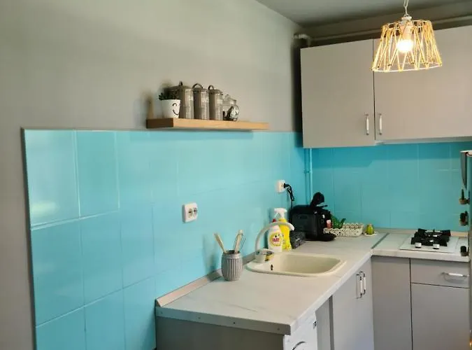 Zorilor Cactus * Cluj-Napoca