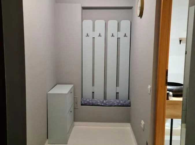 Zorilor Cactus Apartament