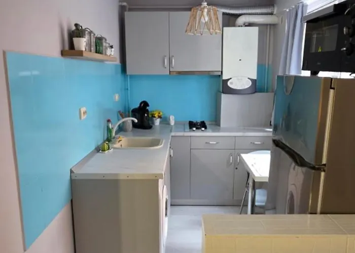 Zorilor Cactus Apartment *