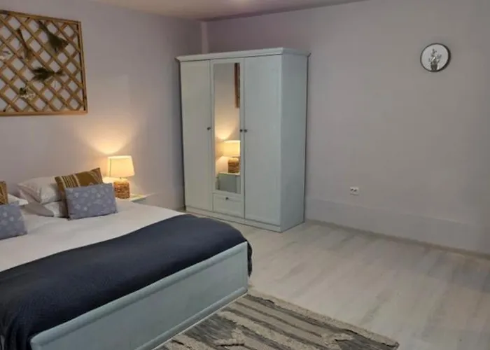 Apartment Zorilor Cactus *