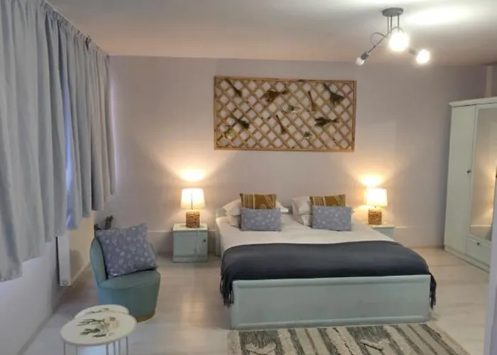 Zorilor Cactus Daire Kaloşvar