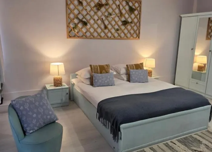 Zorilor Cactus Kaloşvar