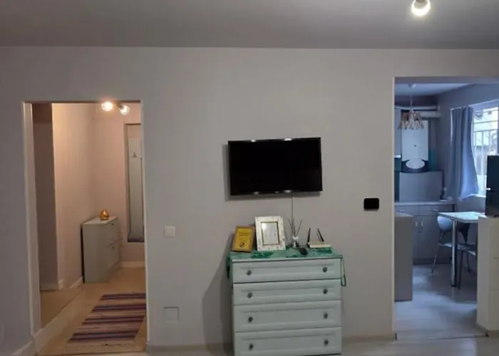 Zorilor Cactus * Cluj-Napoca